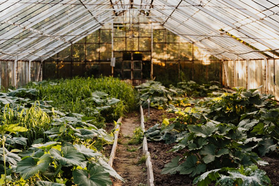 Vrouw met notitieblok voor tuinplannen.